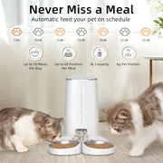 Automatic Pet Smart Food Kibble Dispenser Feeder